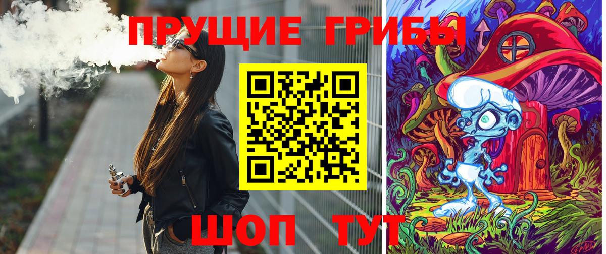 Кировск  Галлюциногенные грибы мицелий  Вход с VPN 