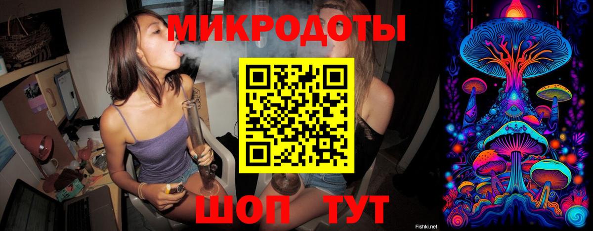 Псилоцибиновые грибы Cubensis Кировск